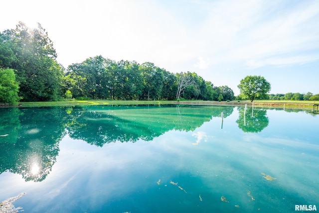 23490 E Maple Rd, Bluford, IL 62814 - water view