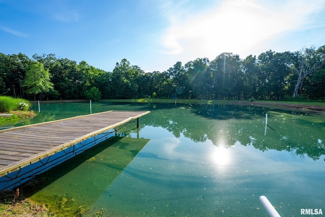 23490 E Maple Rd, Bluford, IL 62814 - dock with a water view