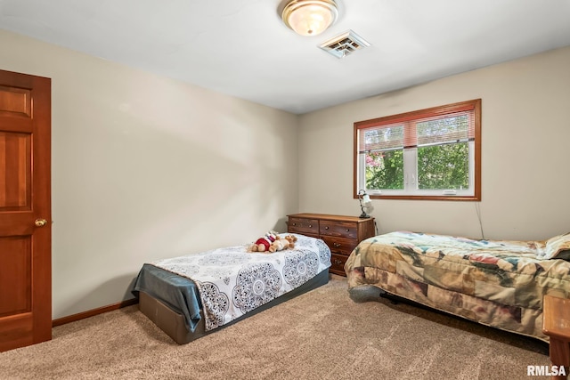 3109 Autumn Wood Dr, Springfield, IL 62704 - photo 45