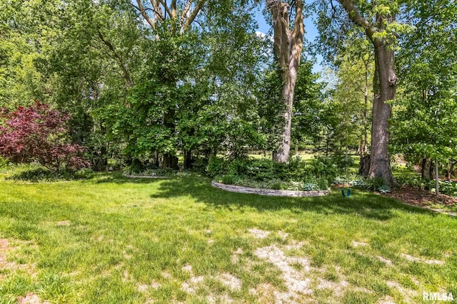 3109 Autumn Wood Dr, Springfield, IL 62704 - photo 58