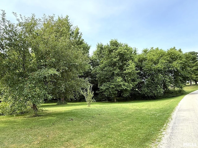 101 S Station St, Altona, IL 61414 - photo 5