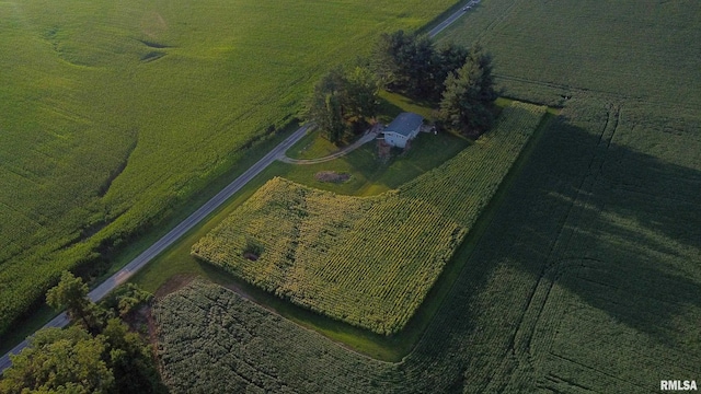 29498 420th St, Griggsville, IL 62340 - view of property location featuring rural landscape and abundant farmland