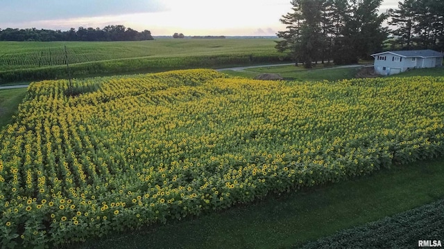 29498 420th St, Griggsville, IL 62340 - view of yard with a view of rural / pastoral area and agricultural plots