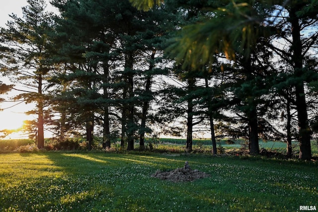 29498 420th St, Griggsville, IL 62340 - view of green lawn