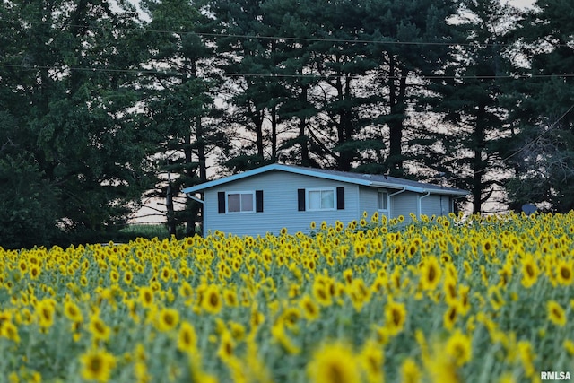29498 420th St, Griggsville, IL 62340 - view of side of home featuring view of scattered trees