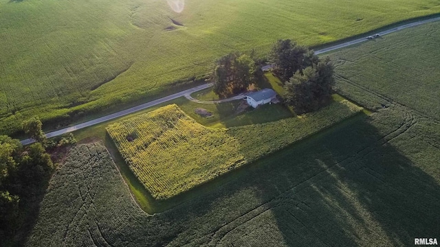 29498 420th St, Griggsville, IL 62340 - view of rural area