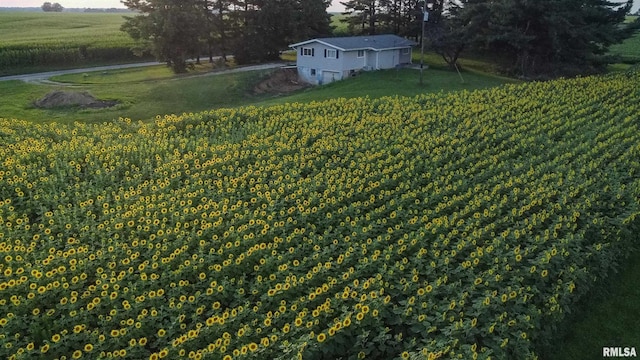 29498 420th St, Griggsville, IL 62340 - view of grassy yard featuring a view of countryside