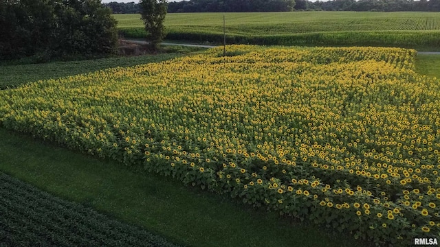 29498 420th St, Griggsville, IL 62340 - view of grassy yard with a view of rural / pastoral area