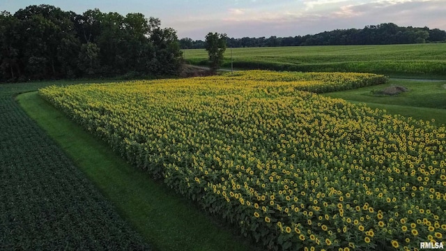 29498 420th St, Griggsville, IL 62340 - surrounding community featuring a view of countryside