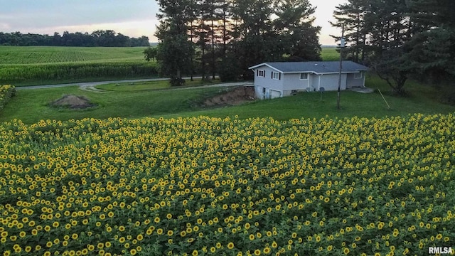 29498 420th St, Griggsville, IL 62340 - view of grassy yard with a rural view