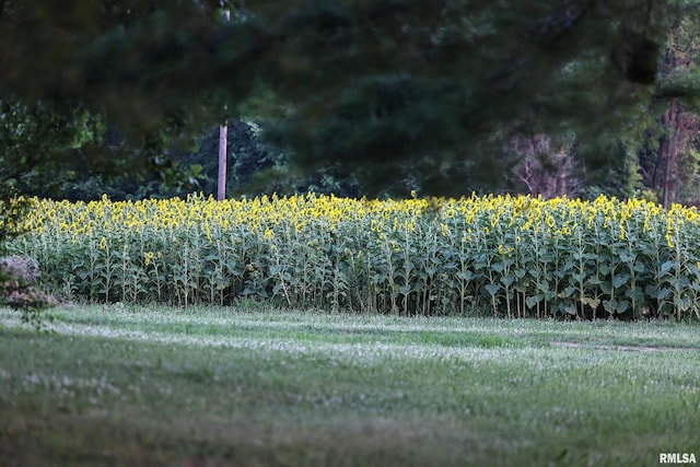 29498 420th St, Griggsville, IL 62340 - view of yard