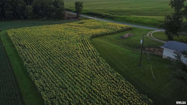 29498 420th St, Griggsville, IL 62340 - view of rural area featuring rows of crops