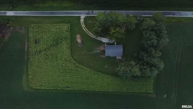 29498 420th St, Griggsville, IL 62340 - aerial view