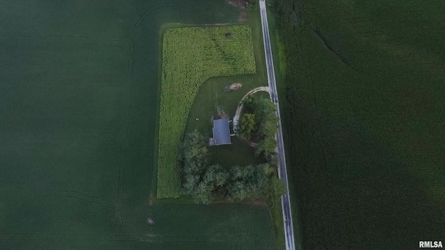 29498 420th St, Griggsville, IL 62340 - aerial view of property's location