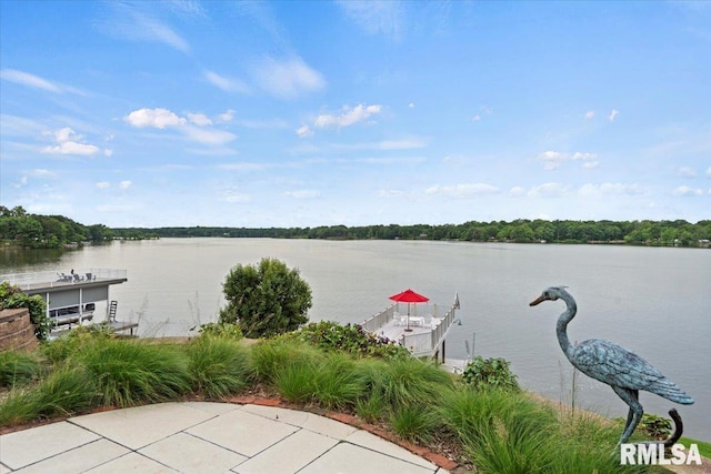 41 Lake Vista Dr, Taylorville, IL 62568 - photo 46