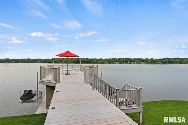 41 Lake Vista Dr, Taylorville, IL 62568 - photo 50