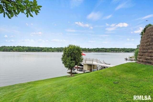 41 Lake Vista Dr, Taylorville, IL 62568 - photo 55