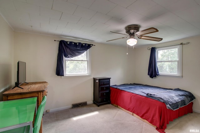 1210 Shady Acres Ln, Quincy, IL 62305 - photo 14