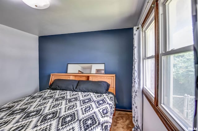 46 Park Ln, Clinton, IL 61727 - photo 15