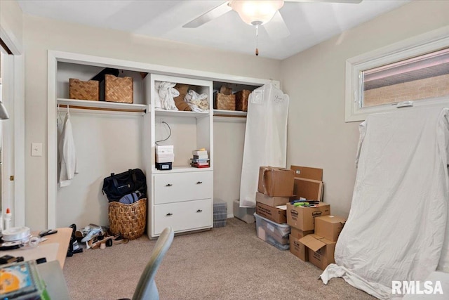 10 Verna Dr, Springfield, IL 62702 - photo 20