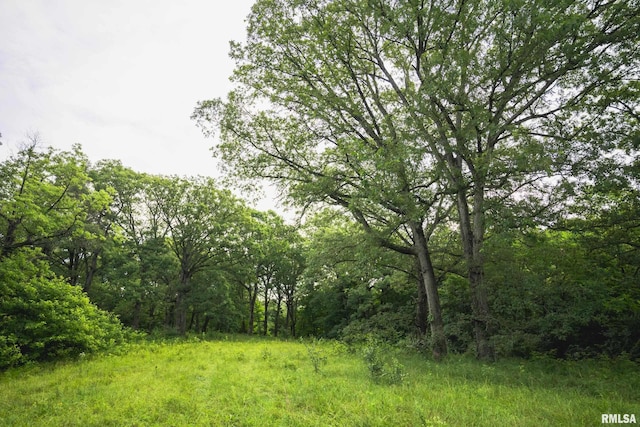 545 E Tarters Ferry Rd, Ipava, IL 61441 - photo 12