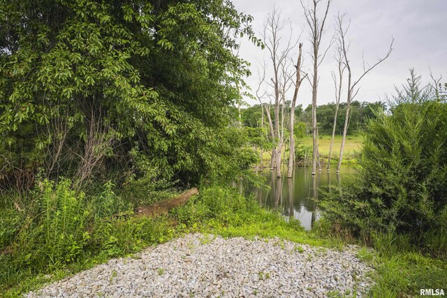 545 E Tarters Ferry Rd, Ipava, IL 61441 - photo 21