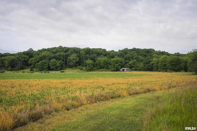 545 E Tarters Ferry Rd, Ipava, IL 61441 - photo 24