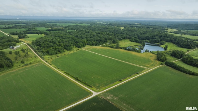 545 E Tarters Ferry Rd, Ipava, IL 61441 - photo 28