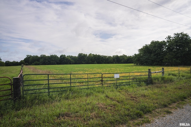 545 E Tarters Ferry Rd, Ipava, IL 61441 - photo 30