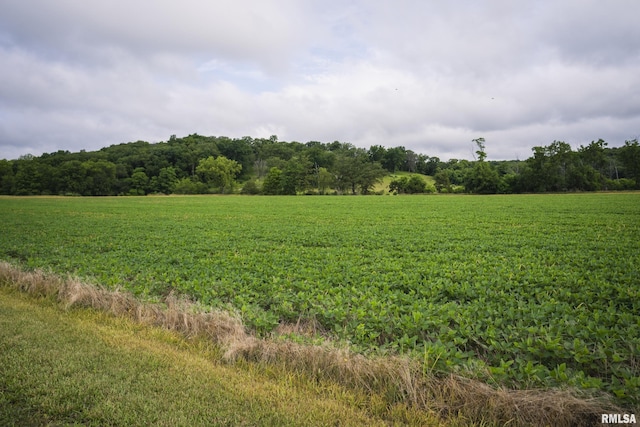 545 E Tarters Ferry Rd, Ipava, IL 61441 - photo 34