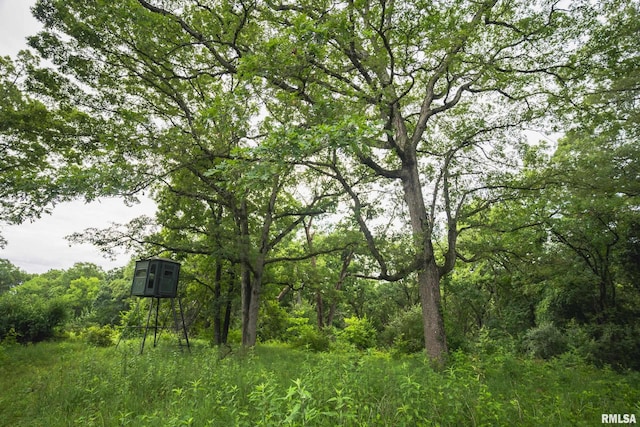 545 E Tarters Ferry Rd, Ipava, IL 61441 - photo 7