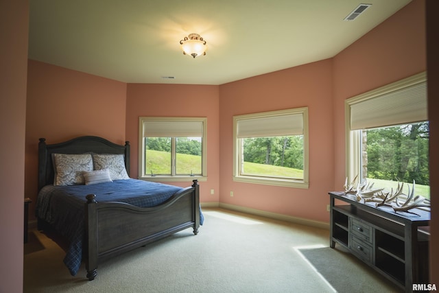 545 E Tarters Ferry Rd, Ipava, IL 61441 - photo 83