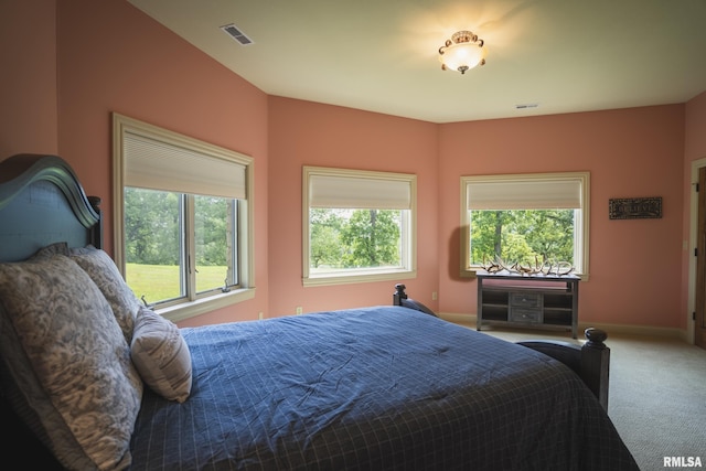 545 E Tarters Ferry Rd, Ipava, IL 61441 - photo 85