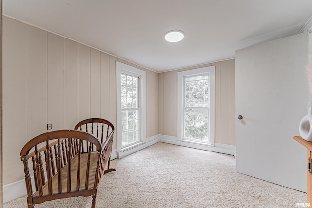 110 N St, Emden, IL 62635 - photo 28
