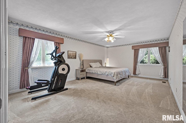 12320 W Downing Pl, Brimfield, IL 61517 - photo 18