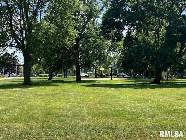 14 W Market St, Piper City, IL 60959 - photo 45