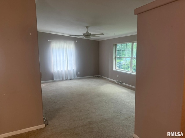 2545 Body Barn Rd, Anna, IL 62906 - photo 7