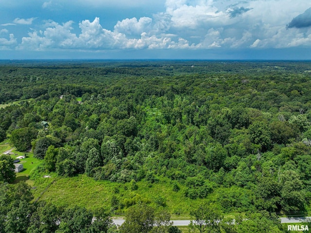 000 Parker City Rd, Creal Springs, IL 62922 - photo 1