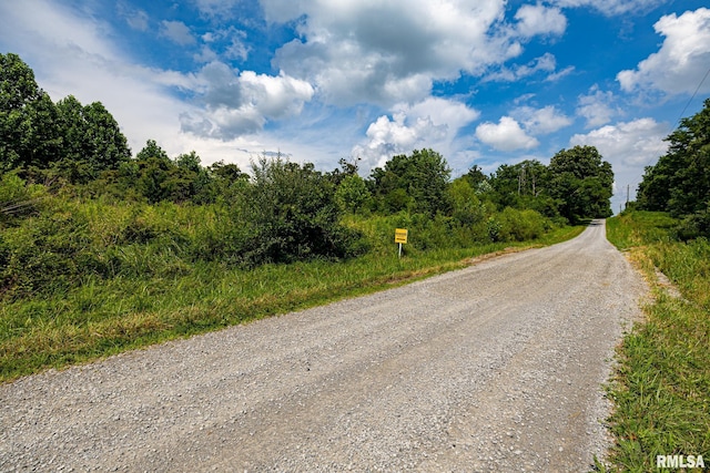 000 Parker City Rd, Creal Springs, IL 62922 - photo 2