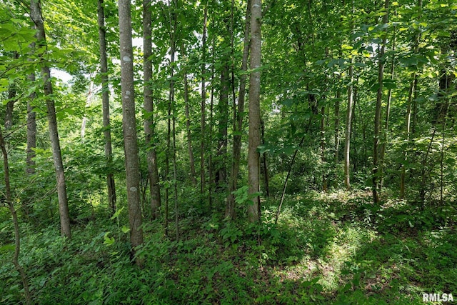 000 Parker City Rd, Creal Springs, IL 62922 - photo 12