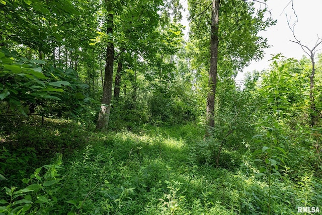 000 Parker City Rd, Creal Springs, IL 62922 - photo 13