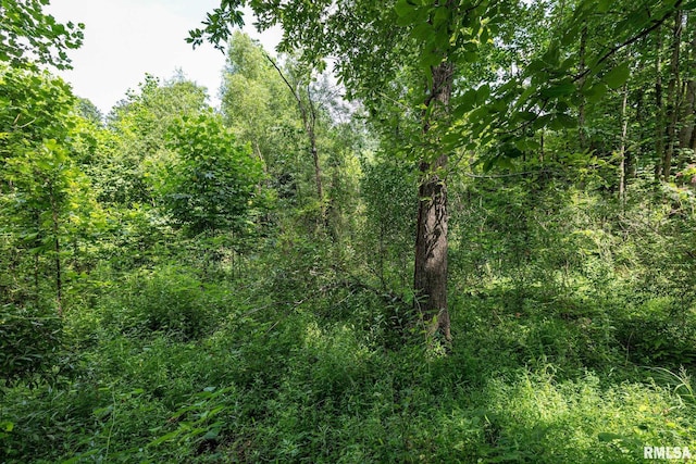 000 Parker City Rd, Creal Springs, IL 62922 - photo 14