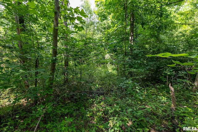 000 Parker City Rd, Creal Springs, IL 62922 - photo 16
