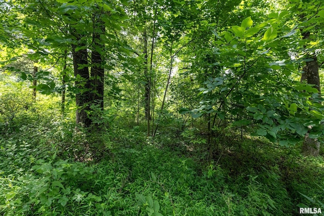 000 Parker City Rd, Creal Springs, IL 62922 - photo 17