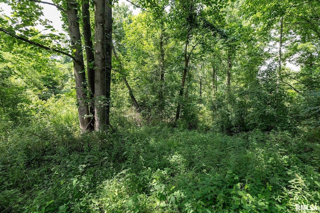 000 Parker City Rd, Creal Springs, IL 62922 - photo 18