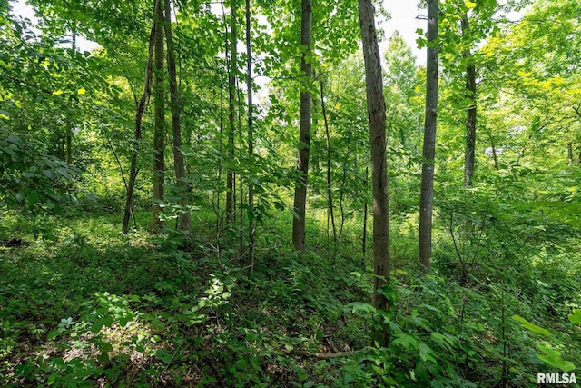 000 Parker City Rd, Creal Springs, IL 62922 - photo 20