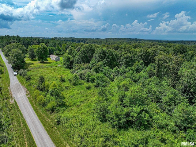 000 Parker City Rd, Creal Springs, IL 62922 - photo 3