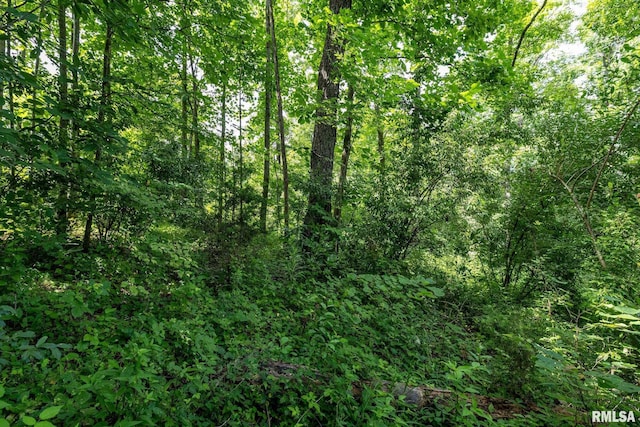 000 Parker City Rd, Creal Springs, IL 62922 - photo 21