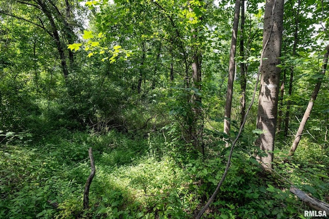 000 Parker City Rd, Creal Springs, IL 62922 - photo 22
