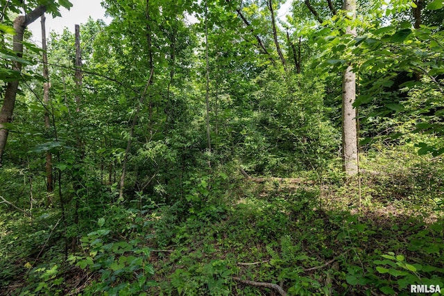 000 Parker City Rd, Creal Springs, IL 62922 - photo 24